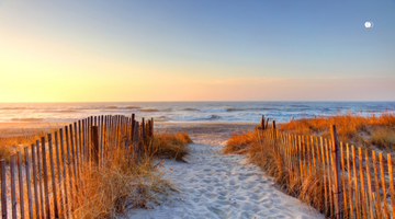 Beaches are closing coast to coast. And it's because of the bacteria.