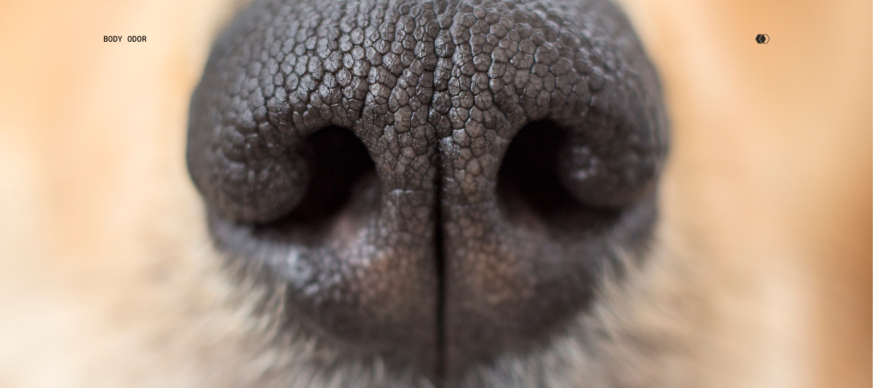 Your Body Odor Can Reveal Hidden Diseases: The Science of Scent-Based Diagnosis