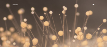 The Original Longevity Drug That We're Rethinking