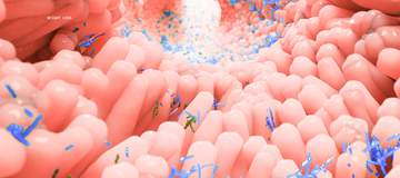 Is Your GLP-1 Medication Changing Your Microbiome?